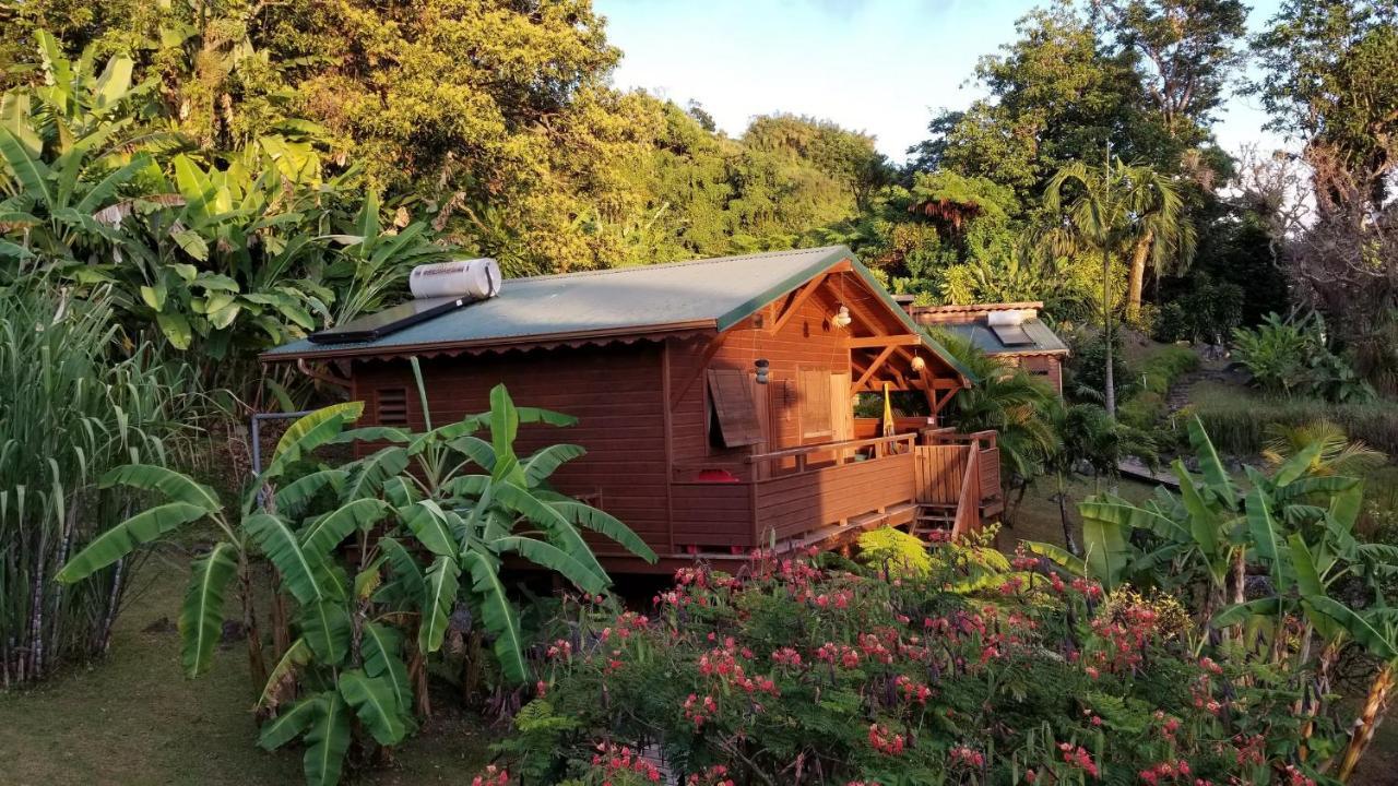 Les Bananes Vertes Ecolodges Saint-Claude Zewnętrze zdjęcie