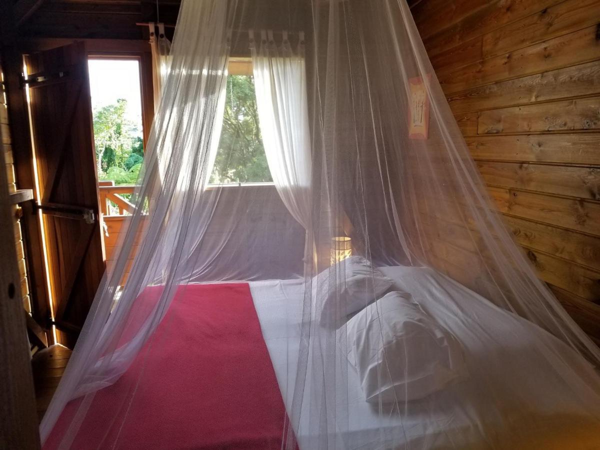 Les Bananes Vertes Ecolodges Saint-Claude Zewnętrze zdjęcie