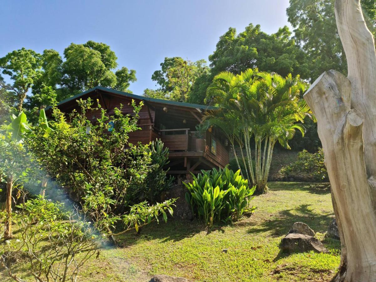 Les Bananes Vertes Ecolodges Saint-Claude Zewnętrze zdjęcie