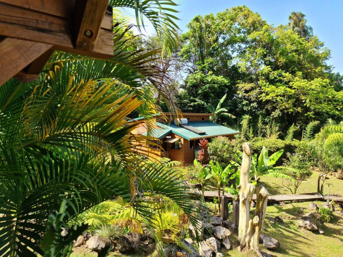 Les Bananes Vertes Ecolodges Saint-Claude Zewnętrze zdjęcie