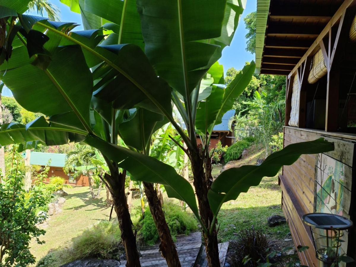 Les Bananes Vertes Ecolodges Saint-Claude Zewnętrze zdjęcie