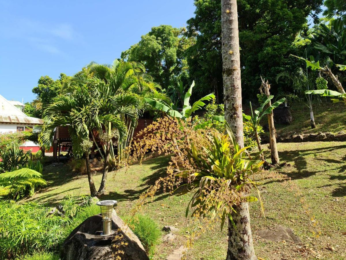 Les Bananes Vertes Ecolodges Saint-Claude Zewnętrze zdjęcie