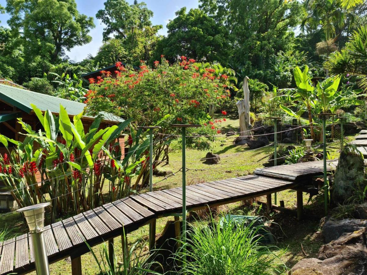 Les Bananes Vertes Ecolodges Saint-Claude Zewnętrze zdjęcie