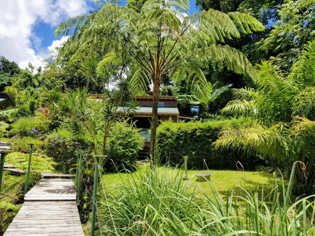 Les Bananes Vertes Ecolodges Saint-Claude Zewnętrze zdjęcie