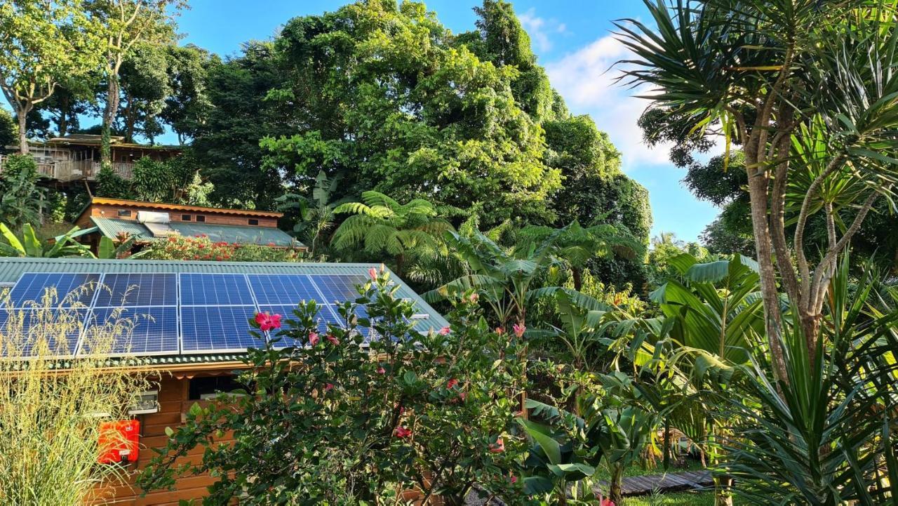 Les Bananes Vertes Ecolodges Saint-Claude Zewnętrze zdjęcie